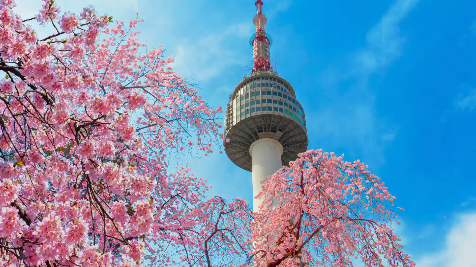The N Seoul Tower